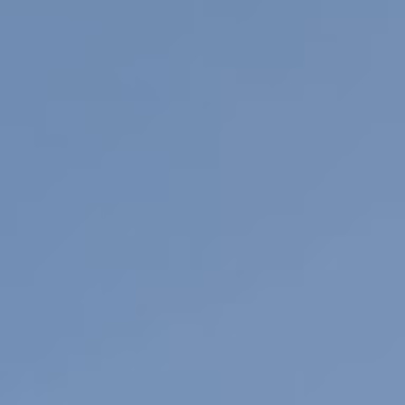 Meet your Posher, Eva - Picture 1 of 1